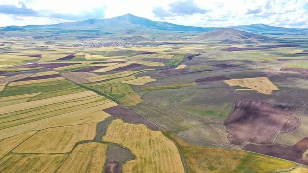 Konya'da hazine arazileri çok ucuza satılacak! Sadece 40 bin TL 4
